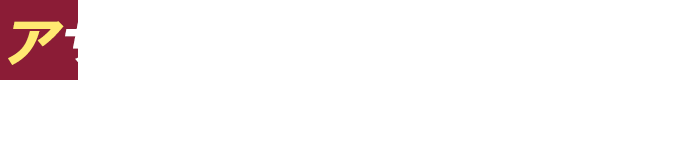 フルッタフルッタ アサイーエナジーバー